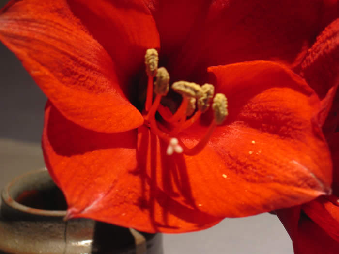 Hier können Sie bald die Homepage von Dorota und Guido besuchen!